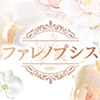 ファレノプシス
