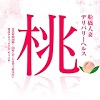 桃色奥様 船橋の情事