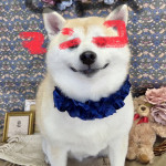 なめいち