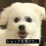 金太郎☆