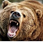 クマオ