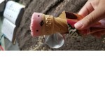 福岡にすんでる人