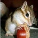 ☆イカせタロー☆