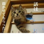 コジロー君
