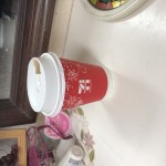単独バケ