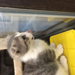 まつひろ