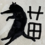 ジェームスブレイク