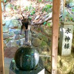 ドラ息子