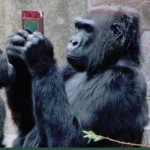 森山ジャンブル