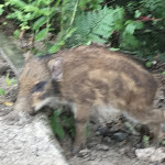 クンニ好き好き