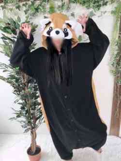 トレマリアアライグマ