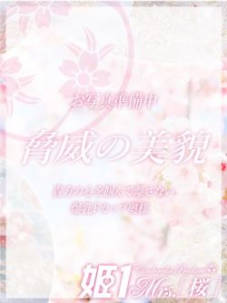 松風 みかさ -[桜]-