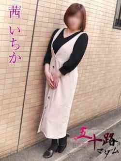 茜いちか