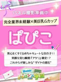 ぱぴこ