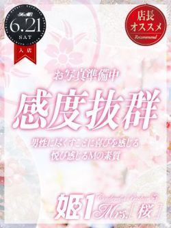 永井まどか-[桜]-
