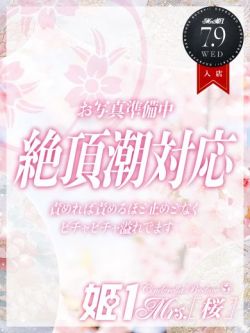 野薔薇さち-[桜]-