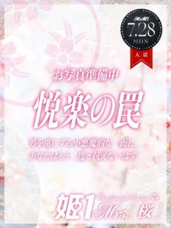 沢村みさき-[桜]-