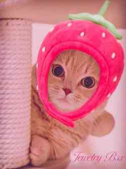 マロ子【ロリ系】