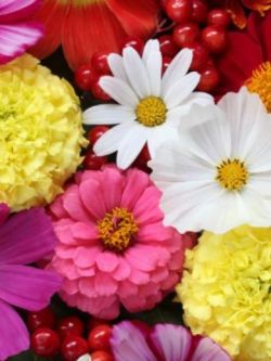 白咲りお🔰小悪魔事務員の甘え仕草