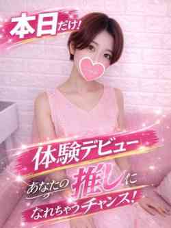 向日葵/ひまわり