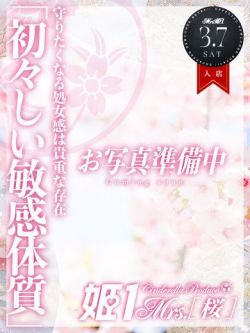 八乙女さくら-[桜]-