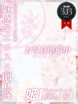 椎名ちあき-[桜]-