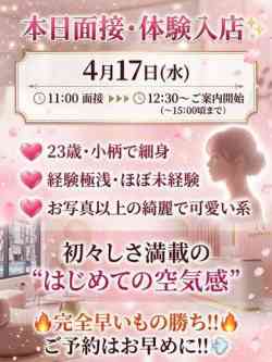 本日面接🌸体験入店