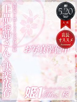来栖みやび-[桜]-