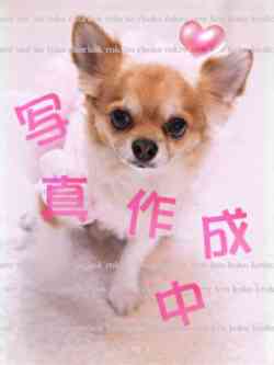 《新人》ちとせ