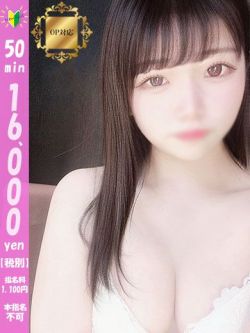 新割しおり【OP対応可能】