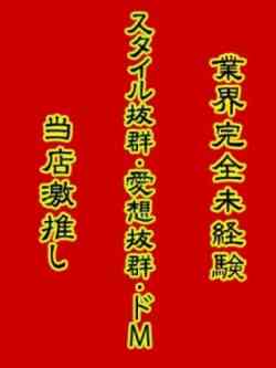 最高