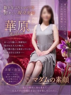 華原【体験3日目】