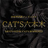 CAT’S六本木