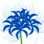 神戸のヒロ