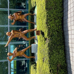 あかたな⭐️参照