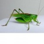 カズ.ｃｏｍ