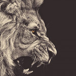 BigFive