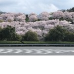 博多タケル