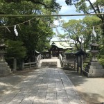 クールメン