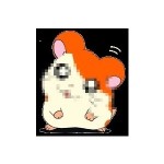 ぱこぱこハメ太郎