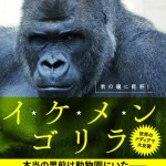 ダイダイ@