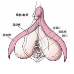 kouseki