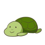 もしカメ48