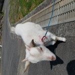 けんじ32