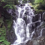 こだわり大老