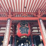 清楚推し