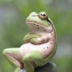 アウトプット