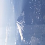 田中正和