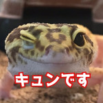 まぁさ