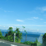 かめ太郎